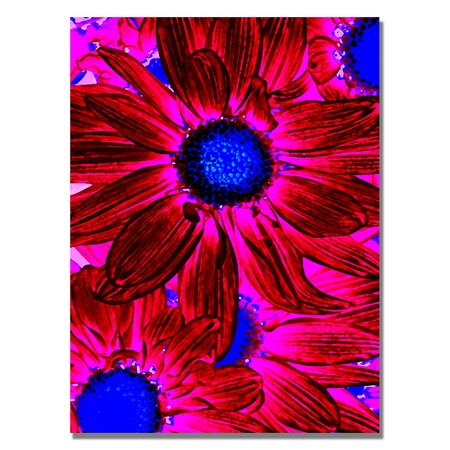 Amy Vangsgard 'Pop Daisies XI' Canvas,35x47